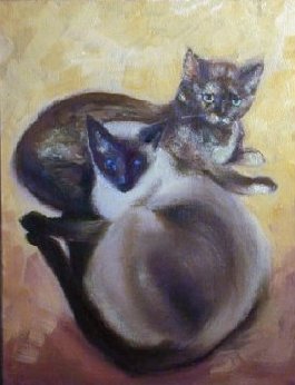 Tabby cat and Siamese cat picture